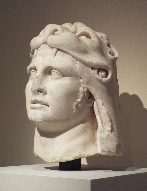 Marble Portrait Head of Mithridates VI Eupator in the Metropolitan Museum of Art, July 2016