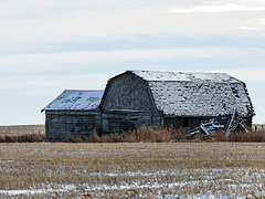 Old barn in winter