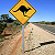 Steve, le frenchie en Australie