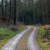 Waldwege - forest roads