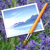 ~PAINTING WITH MOTHER NATURE~