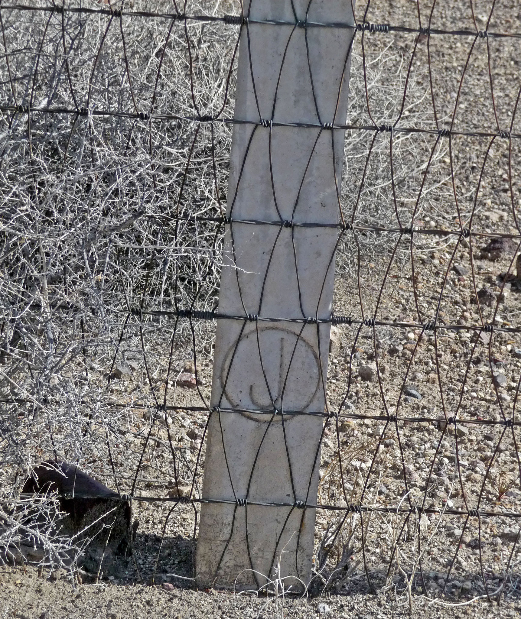 Lower Vine Ranch (3416)
