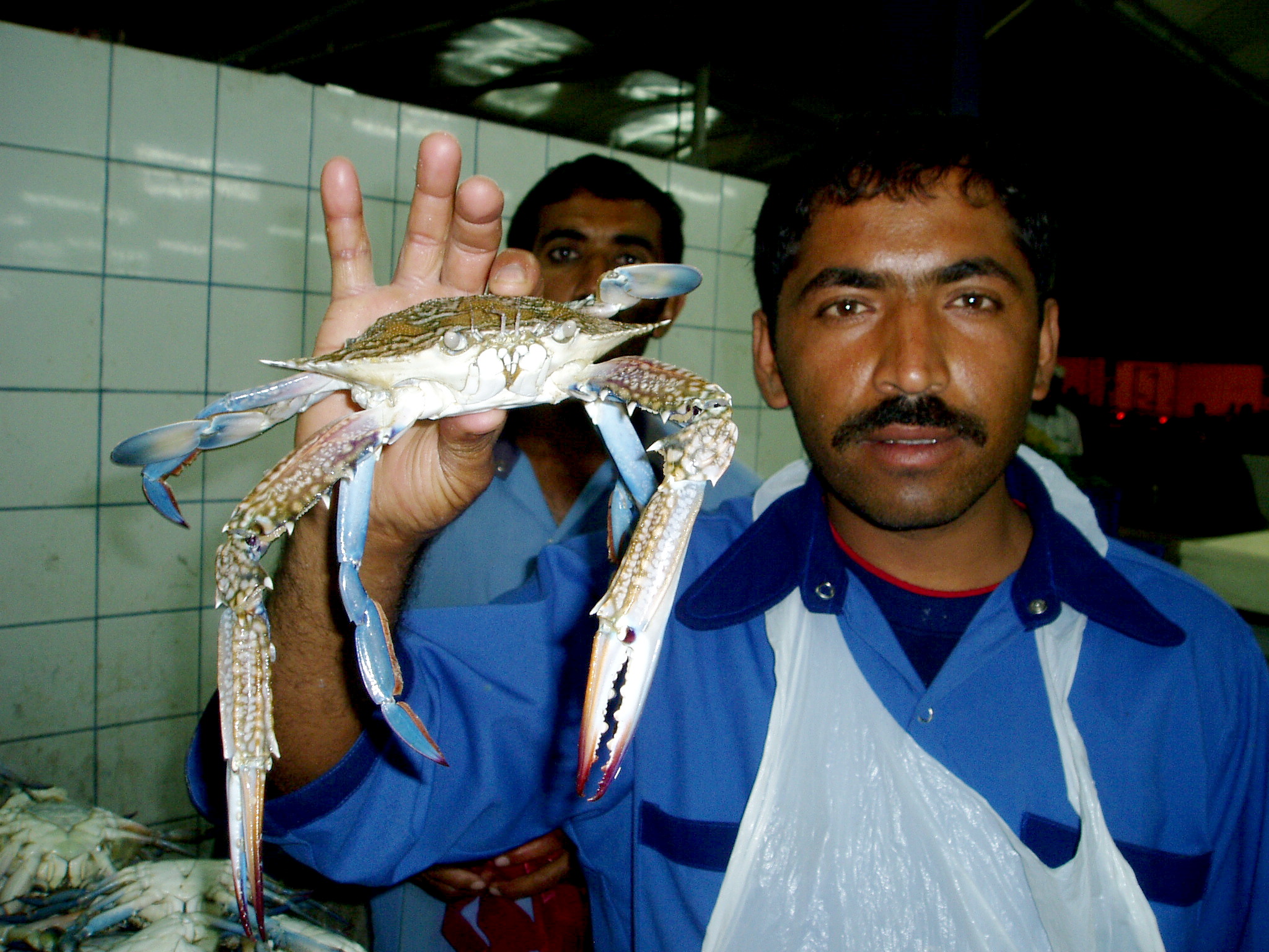 Fishmarket