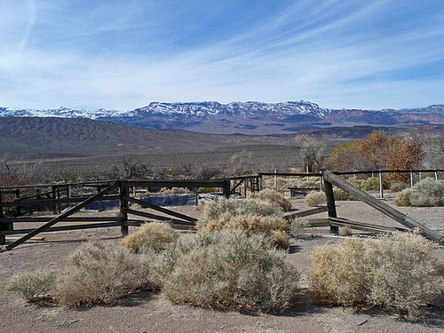 Lower Vine Ranch (3432)