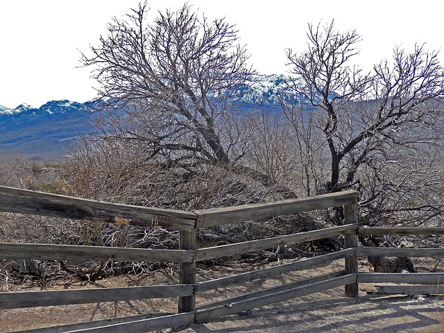 Lower Vine Ranch (3439)