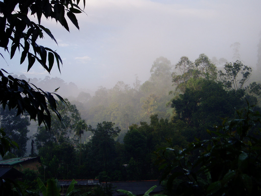 Sri Lanka