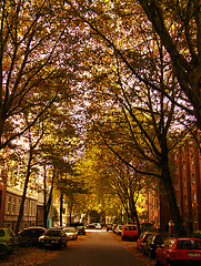 Straße im Herbstlicht