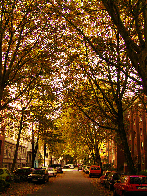 Straße im Herbstlicht