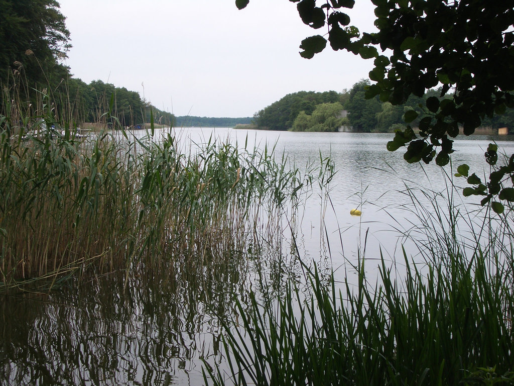 Auf dem Weg von Mirow nach Neubrandenburg