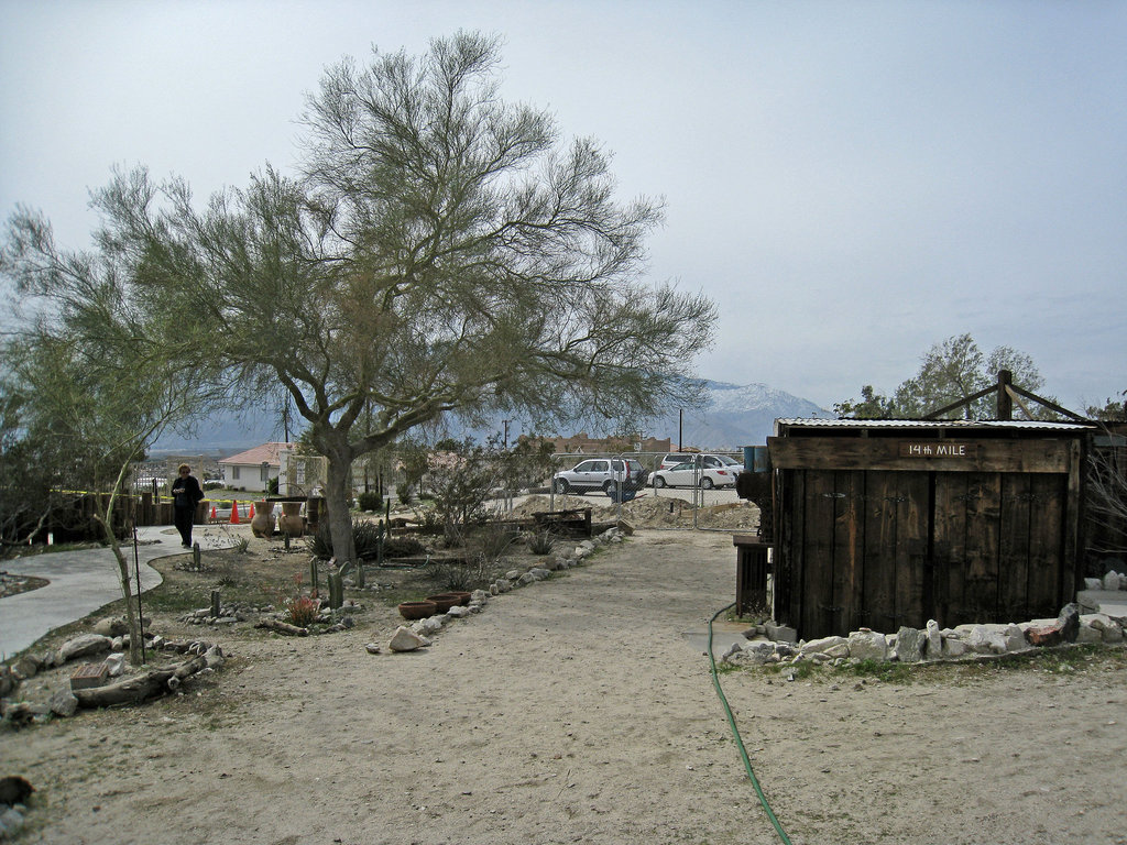 Cabot's Restroom Construction (4)