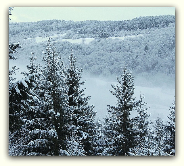 Neige et brouillard