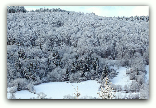 Sous la neige