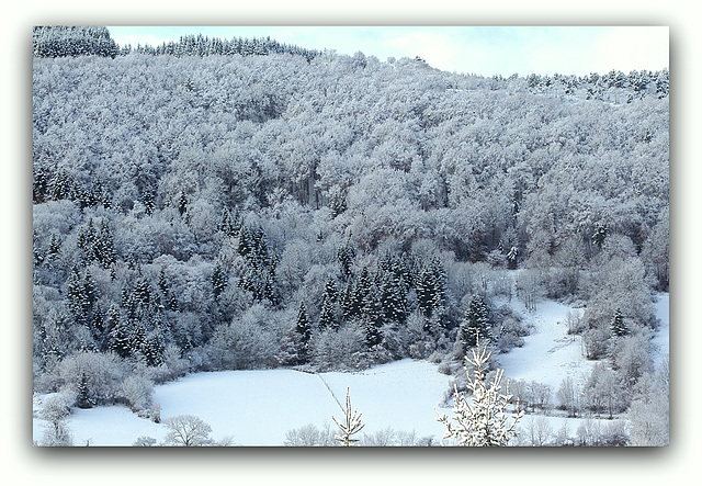 Sous la neige