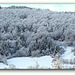 Sous la neige