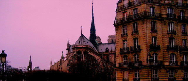 Paris, Cathédrale Notre-Dame, vue de la Pont de Sully