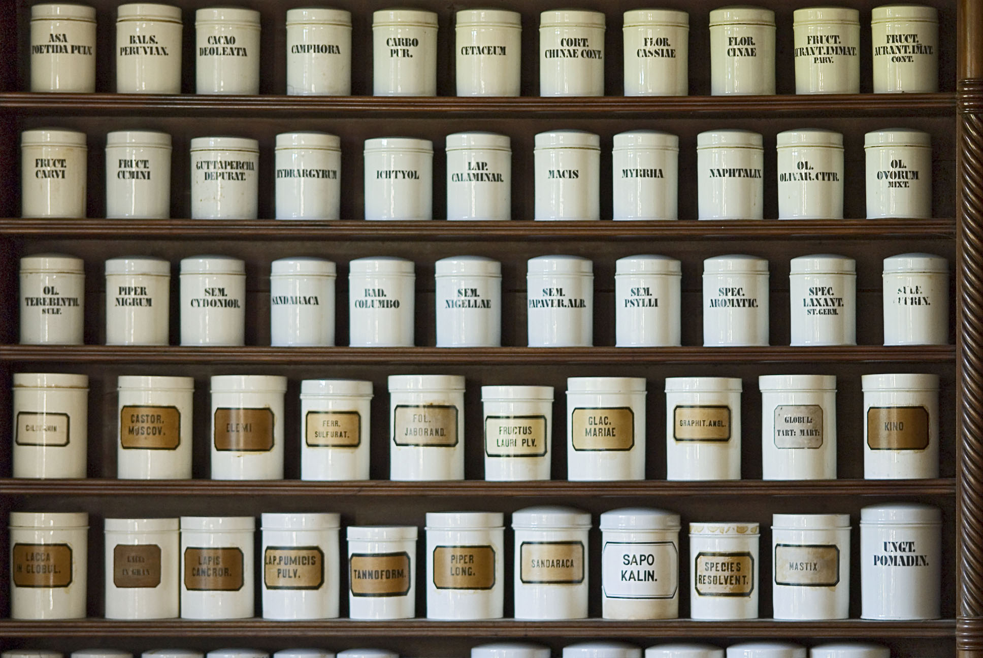 Pharmacy 2