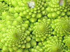 Vegetable fractal