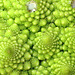 Vegetable fractal