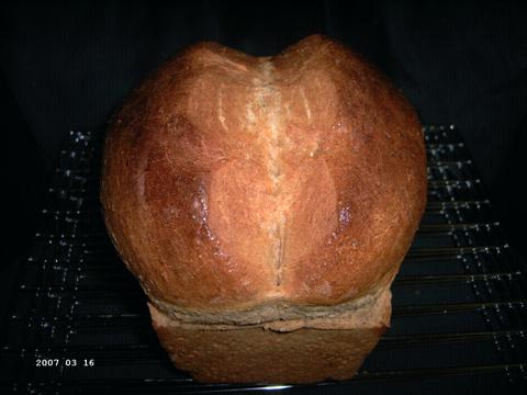 Whole Wheat Bread made with Hard Wheat 1