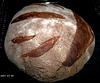 Whole-Wheat Boule