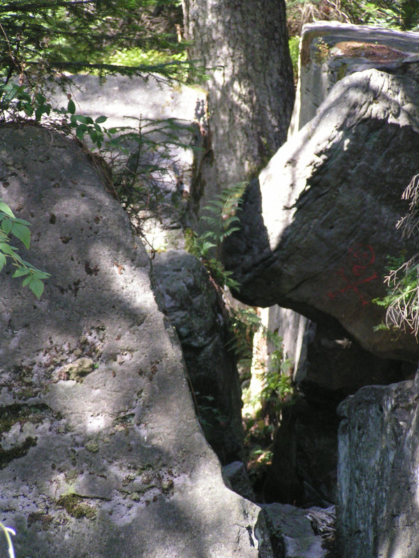 Schwarzwald: Dobel