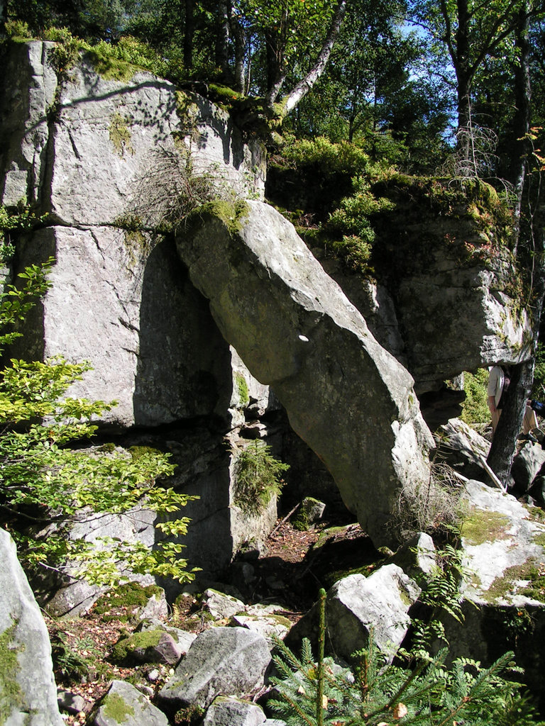 Schwarzwald: Dobel