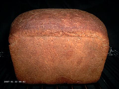 Polenta-Chestnut Bread 1