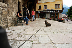 Pieve di Cadore #2