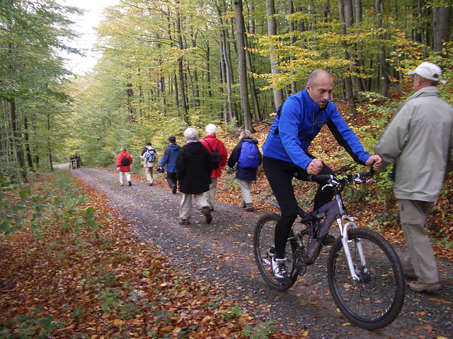 freie Zeit im Deister / free time in the forest