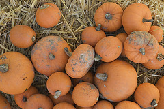 Pumpkin on hay