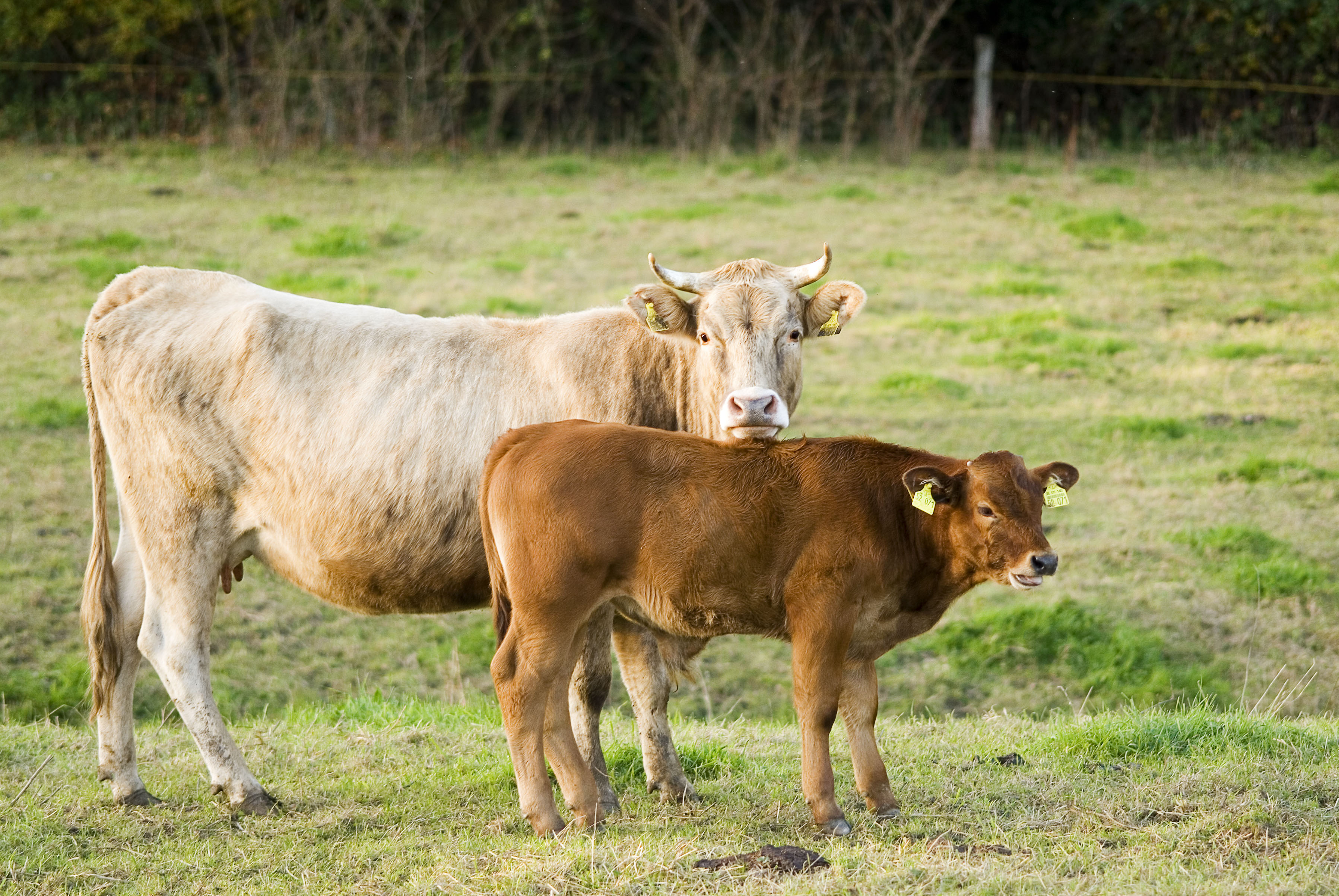 Mother and child