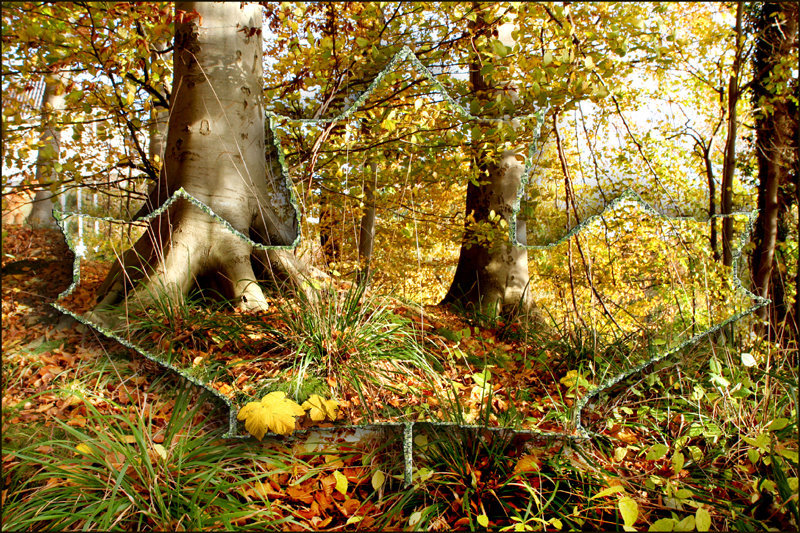 Herbst