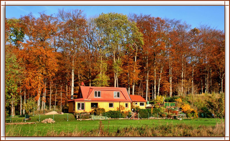 Das "kleine" Haus am Wald...