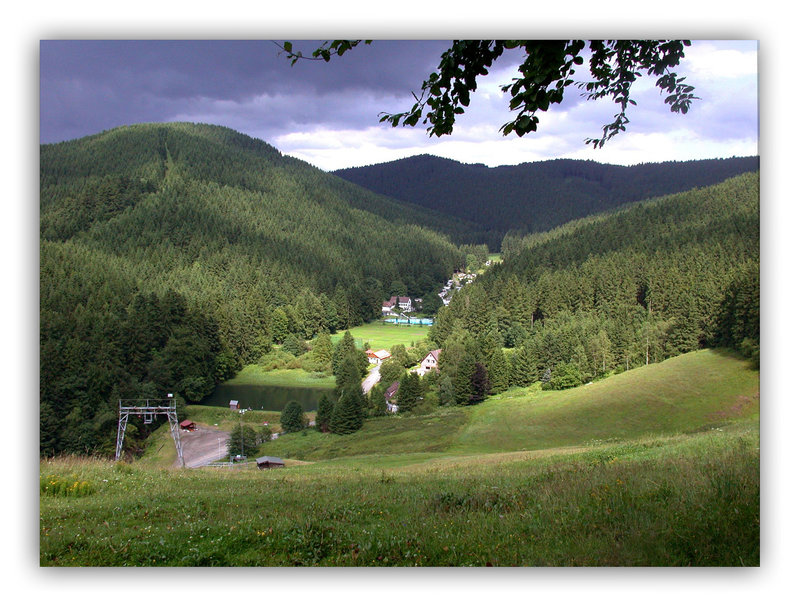 Lerbach im Harz