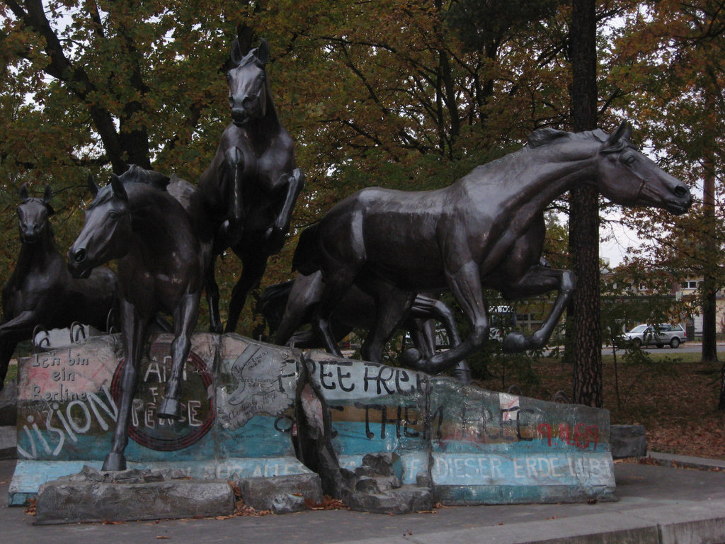 Freedom horses