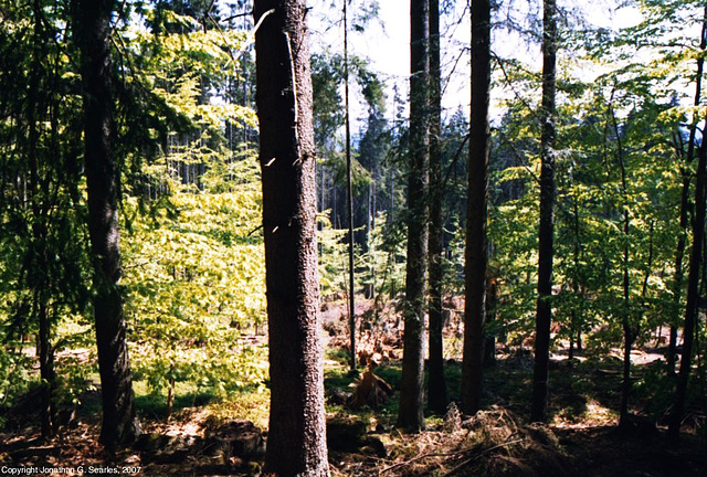 Sumava Hike, Picture 3, Sumavsky Narodni Pamatka, Bohemia(CZ), 2007