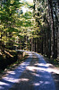 Sumava Hike, Picture 10, Budejovicky Kraj, Bohemia(CZ), 2007