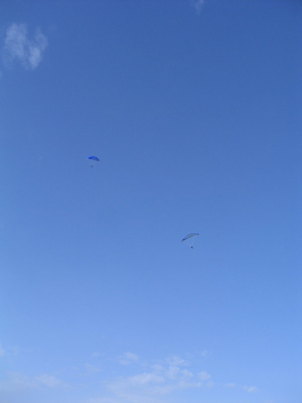 IMG 5323