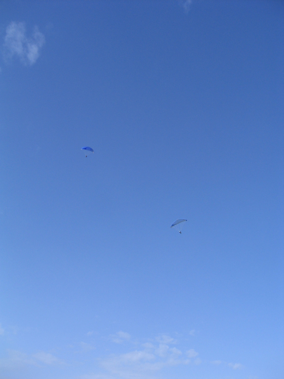 IMG 5323