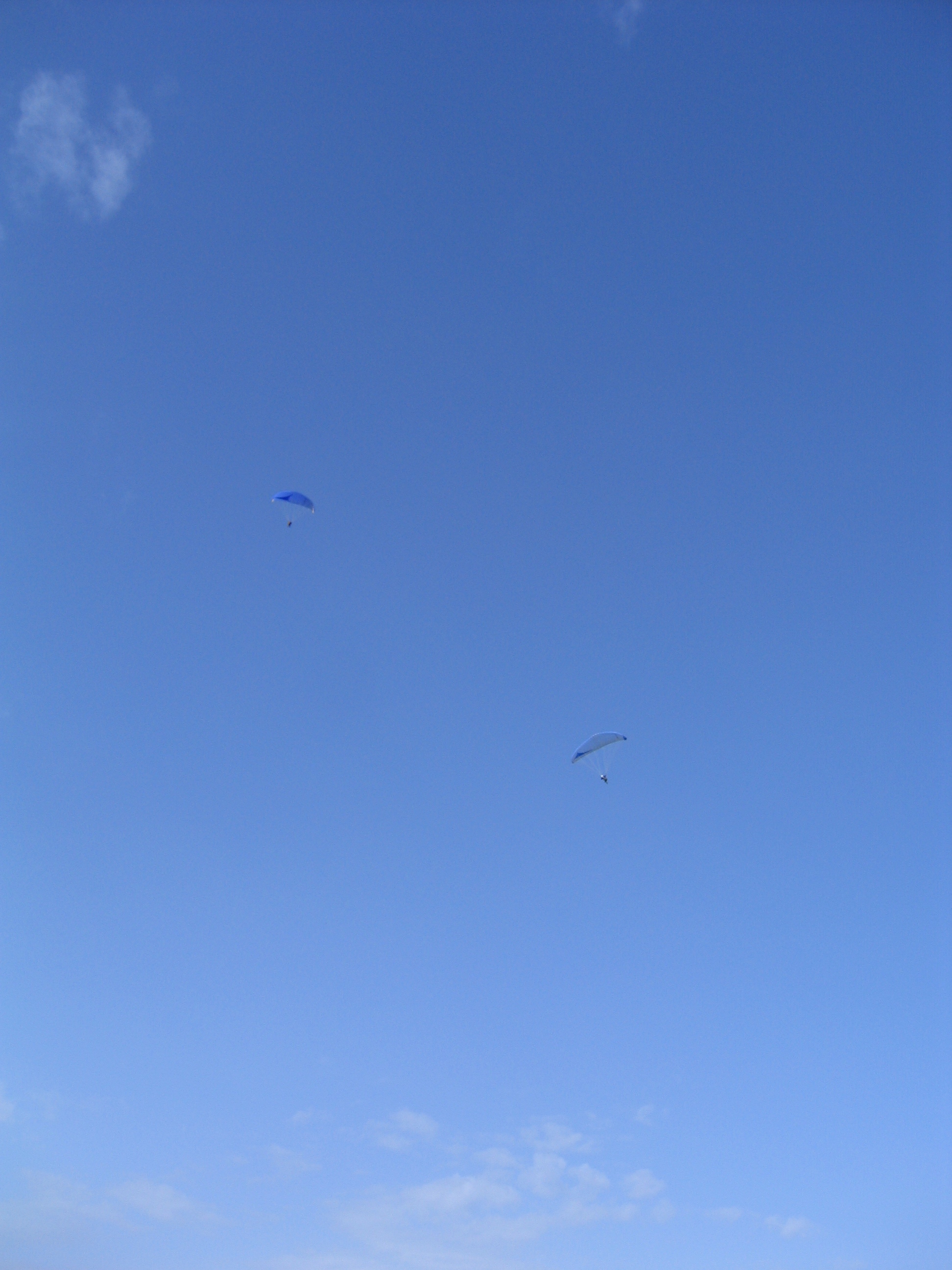 IMG 5323