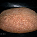 Pane Tipo Altamura (Durum-Flour Bread from Altamura)