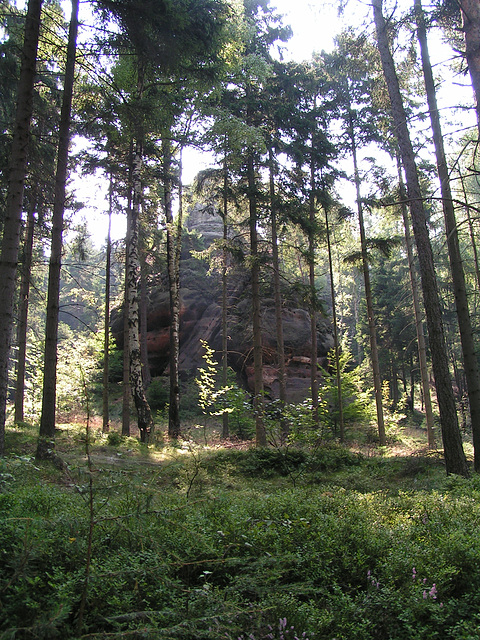 Felsen