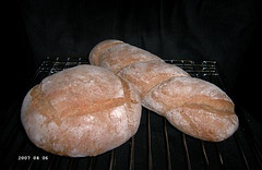 Pain de Campagne Madame Doz 3