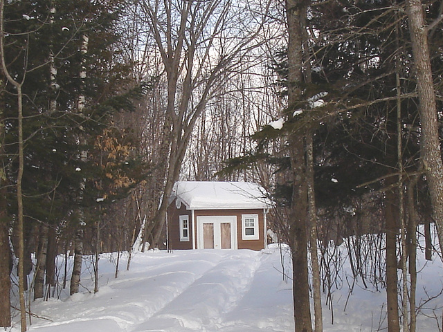 Petit chalet solitaire parmi la neige immaculée /   Small chalet among the immaculate snow - Quebec / CANADA