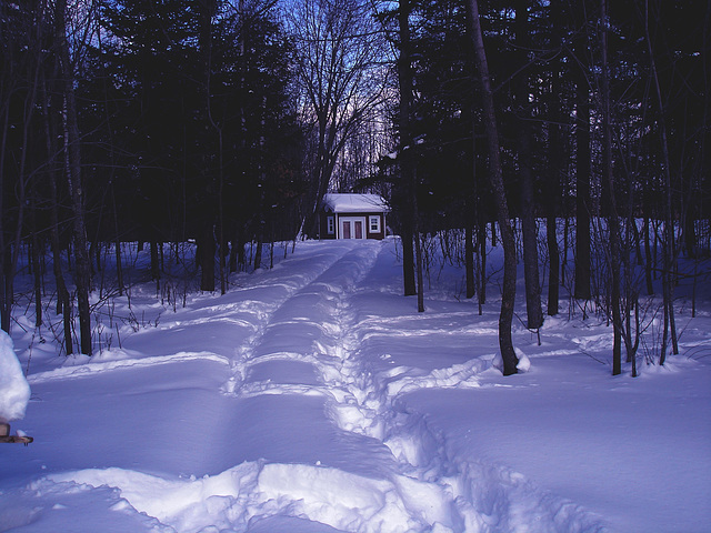 Petit chalet solitaire parmi la neige immaculée /   Small chalet among the immaculate snow - Quebec / CANADA -  Effet nuit / Night effect artwork