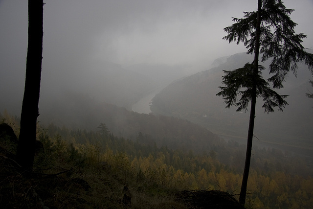 Elbtal im Nebel