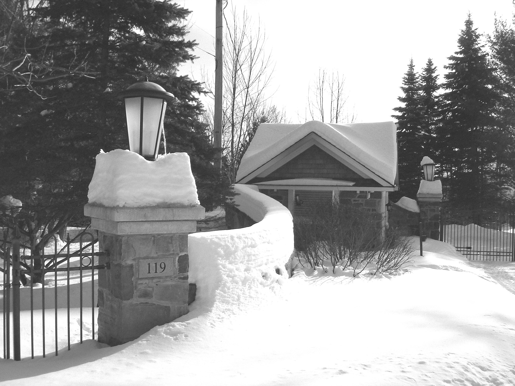 St-Benoit-du-lac / Québec- CANADA - 7 février 2009-  B & W