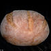Killarney Irish Oatmeal Bread 1