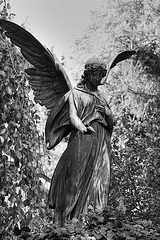 Forstenried Angel (B&W)