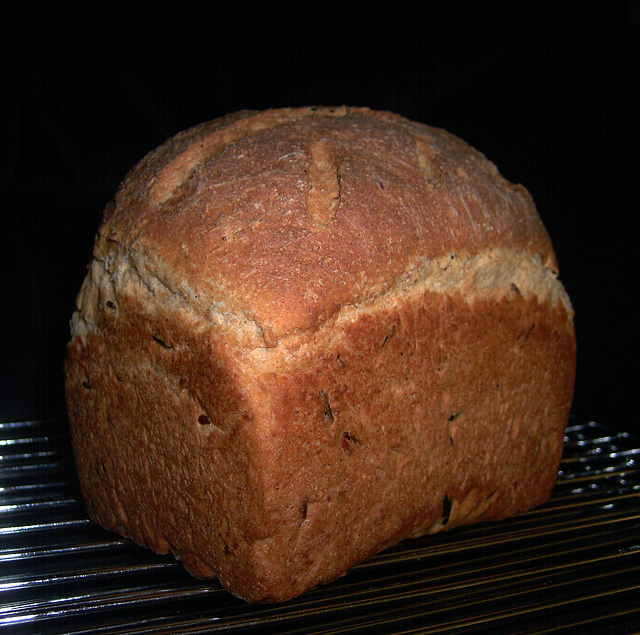 Three-Grain Wild Rise Bread 1